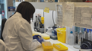 Corfo lanza programa tecnológico para apoyar detección oportuna del cáncer con IA