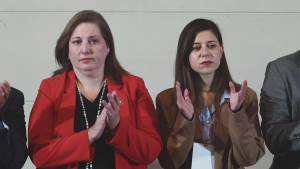 Las dos almas del PS frente a frente: discusión de megarreforma profundiza quiebre Vodanovic-Cicardini