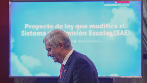 Familias y el SAE: una década después