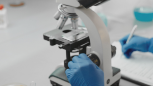 Investigador chileno identifica bacterias probióticas que reducen daño por herpes