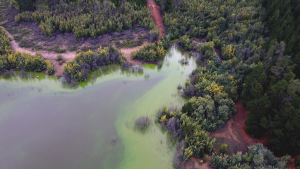 Lluvias reviven al Lago Peñuelas: agua ya cubre la tercera parte de la reserva nacional