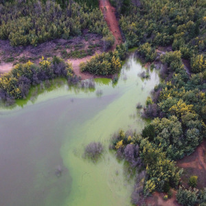 Lluvias reviven al Lago Peñuelas: agua ya cubre la tercera parte de la reserva nacional