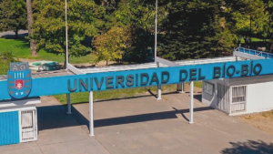 Contraloría advierte deficiente gestión de U. del Biobío para recuperar $4 mil millones en becas docentes