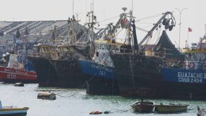 Gobierno descarta pesca ilegal de flota china en la Zona Económica Exclusiva de Chile