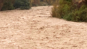 Las cuatro comunas de la Región de Valparaíso con alerta roja por riesgo de desborde del río Aconcagua