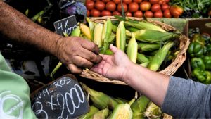 Del contribuyente de subsistencia al emprendedor formal
