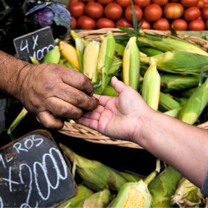 Del contribuyente de subsistencia al emprendedor formal