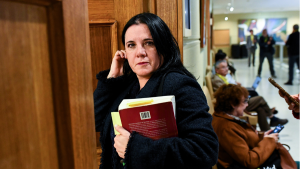 Oposición sufre derrota por falta de quórum: rechazan creación de comisión investigadora contra Steinert