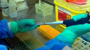 Qué se sabe del fallecimiento de una estudiante que activó protocolos por virus Hanta en Rengo