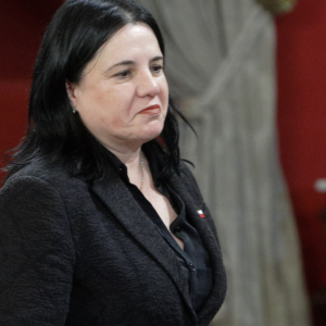 Exministra Steinert enfrenta este lunes su comparecencia ante comisión investigadora de la Cámara