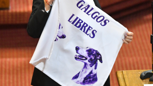 Prohibición a las carreras de galgos: las duras sanciones que recibirán quienes infrinjan la ley