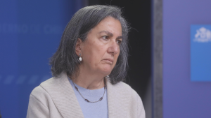 Todos los cánceres en el GES: una buena noticia que exige una mirada integra