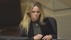 Senadora Vanessa Kaiser: 