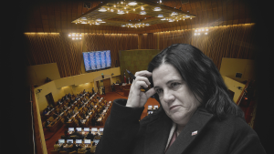 Tras amenaza de AC: Cámara constituye comisión investigadora contra Trinidad Steinert