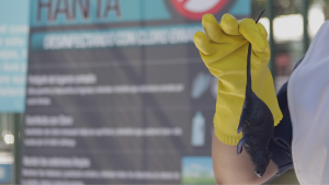 Letalidad de hantavirus en Chile alcanza 39% en el año: una vacuna podría estar disponible antes de 2030