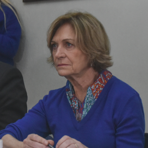 Matthei descarta uso de FFAA en estado de excepción en barrios: 