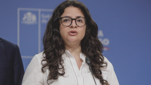Antonia Orellana y auditoría por gastos en oficina del Ministerio de la Mujer: 