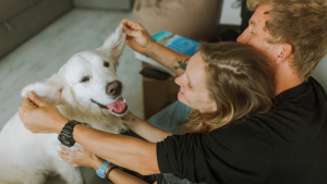 La ciencia explica por qué tienes que sonreírle a tu perro