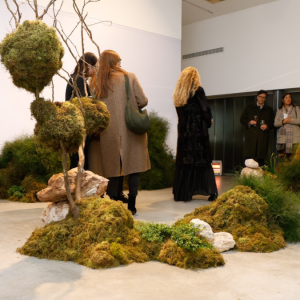 La naturaleza imagina el arte en el Centro Cultural MATTA de Buenos Aires