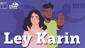 Las críticas contra el proyecto que suspende la Ley Karin: 