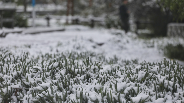 Lluvia y nieve en Santiago: las comunas en que nevará y la hora en que arribará el sistema frontal a la RM