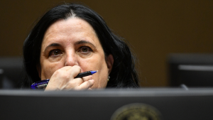 Tuvieron que suspender la sesión: por qué Steinert no se presentó en comisión investigadora