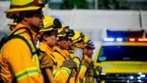 CONAF ofrece 10 mil empleos para construir cortafuegos de cara a la temporada de incendios