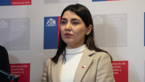 “Estamos poniendo orden”: ministra de la Mujer revela déficit de $2 mil millones en Prodemu