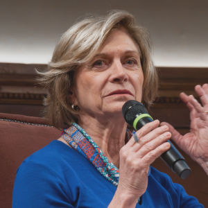 Matthei apunta al Gabinete y acusa falta de coordinación: 