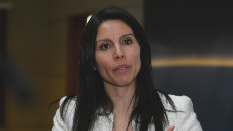 Senadora Gatica responde a críticas republicanas contra Paulina Núñez: 