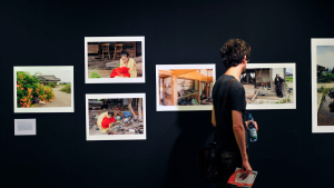 Las artes visuales también piensan