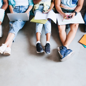 Sistema de Aseguramiento (del empeoramiento) de la Calidad de la Educación