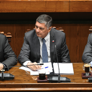 Gobierno insistirá en el Senado con proyecto que extiende plazo de detención de migrantes irregulares