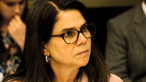 Diputada Ossandón y alza de cesantía: 