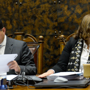 Vodanovic versus Araya: el choque por la reforma de seguridad que reabre la grieta en el Socialismo Democrático