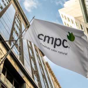 CMPC vende 60 mil hectáreas forestales a grupo ligado a JP Morgan por US$365 millones