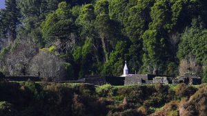 Tribunal Ambiental condena a inmobiliarias por daño ambiental en Valdivia y ordenan reparar suelos en 60 días