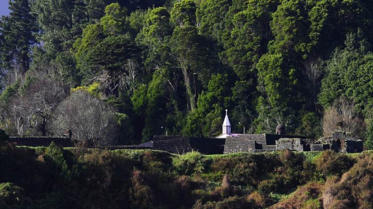 Tribunal condena a inmobiliarias por daño ambiental en Valdivia y ordenan reparar suelos en 60 días