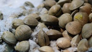 Alerta por marea roja en Chiloé: prohíben extracción de mariscos