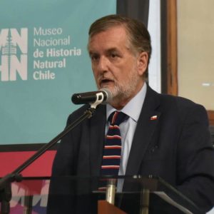 Presupuesto 2027: Pase Cultural, sitios de memoria y patrimonio sufrirán millonarios recortes