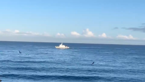 VIDEO - Qué informó la Armada sobre el hombre que desapareció tras ingresar al mar en Viña
