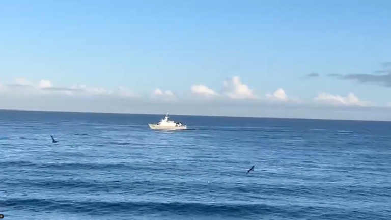 VIDEO - Qué informó la Armada sobre el hombre que desapareció tras ingresar al mar en Viña