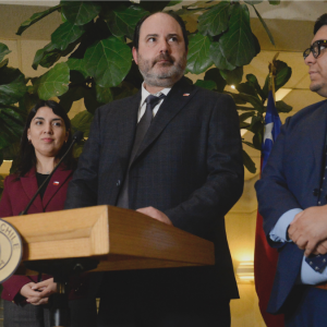 Ministro Rau llama a postergar las jubilaciones por crisis del fondo E: 