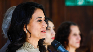 Paulina Núñez confirma proyecto para impedir rebajas a las condenas por delitos sexuales contra menores de edad