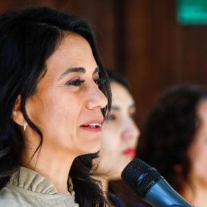 Paulina Núñez confirma proyecto para impedir rebajas a las condenas por delitos sexuales contra menores de edad