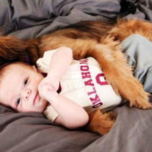 Estudio descubrió que los perros aprenden las palabras de igual forma que los bebés humanos
