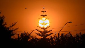 ONU prevé calentamiento global de 2,6°C y advierte graves consecuencias: olas de calor, inundaciones e incendios forestales