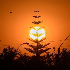 ONU prevé calentamiento global de 2,6°C y advierte graves consecuencias: olas de calor, inundaciones e incendios forestales