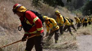 En qué consiste el plan del Gobierno contra incendios forestales: 