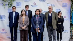 RN se demarca de tesis de biministro Mas y apunta a las AFP por caída del Fondo E